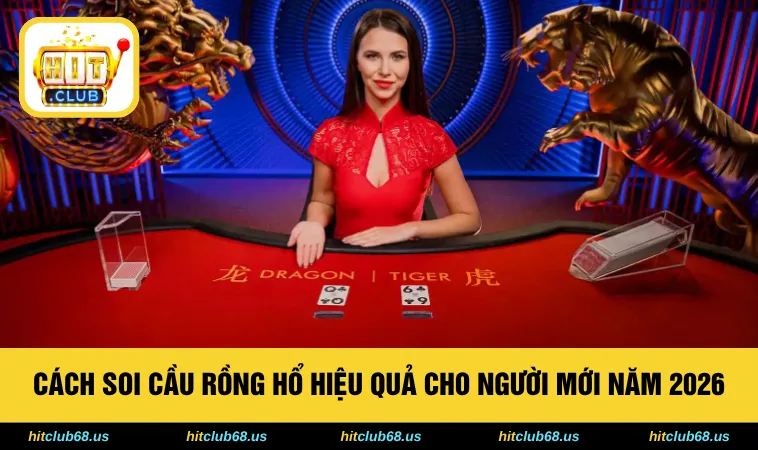Cách Soi Cầu Rồng Hổ Hiệu Quả Cho Người Mới Năm 2026