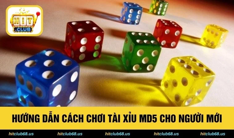 Hướng dẫn cách chơi tài xỉu MD5 cho người mới 