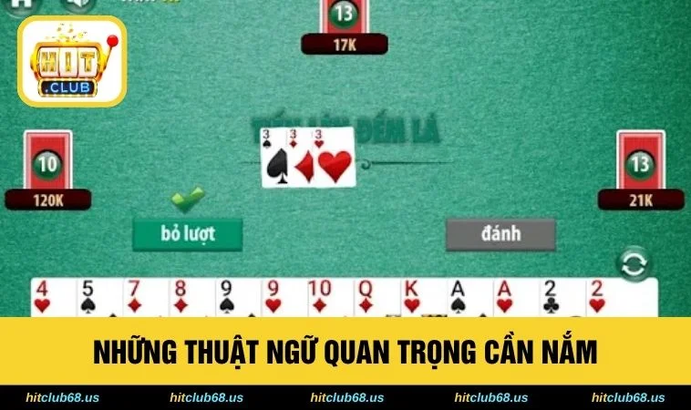 Những thuật ngữ quan trọng cần nắm 