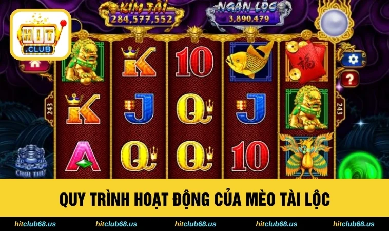 Quy trình hoạt động của Mèo Tài Lộc
