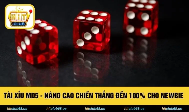 Tài Xỉu MD5 - Nâng Cao Chiến Thắng Đến 100% Cho Newbie 
